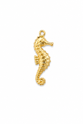 Charms hippocampe ￼