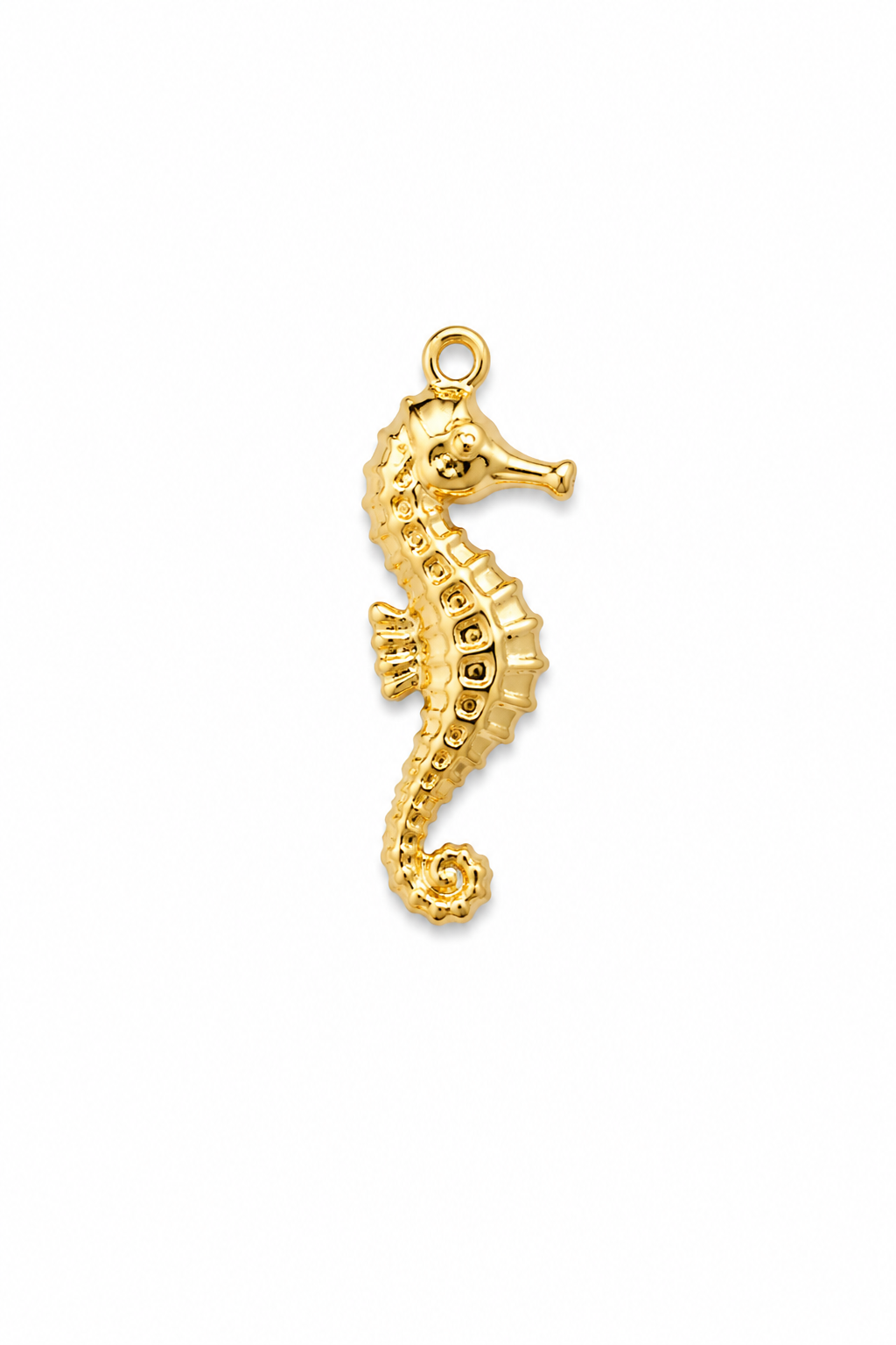 Charms hippocampe ￼