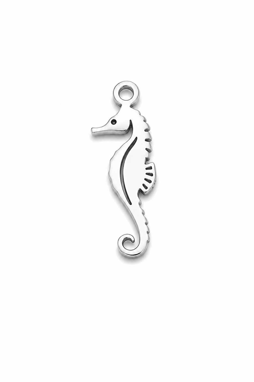 Charms hippocampe